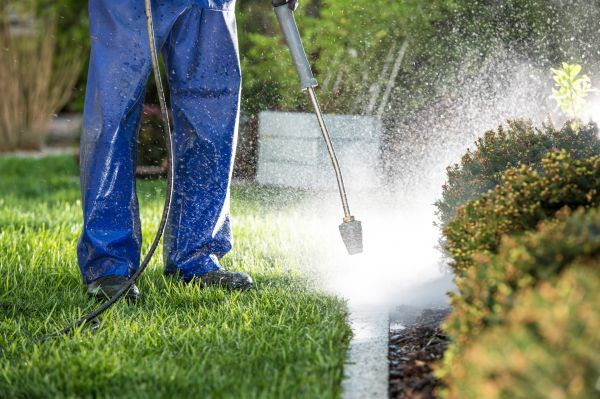 Curb Cleaning in Mount Juliet