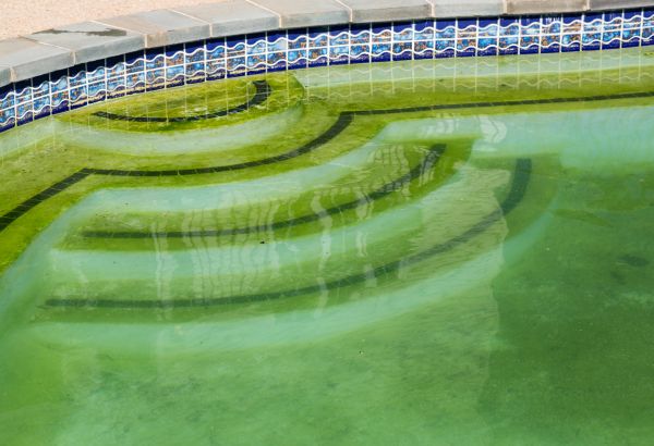 Pool Deck Algae Removal in Mount Juliet