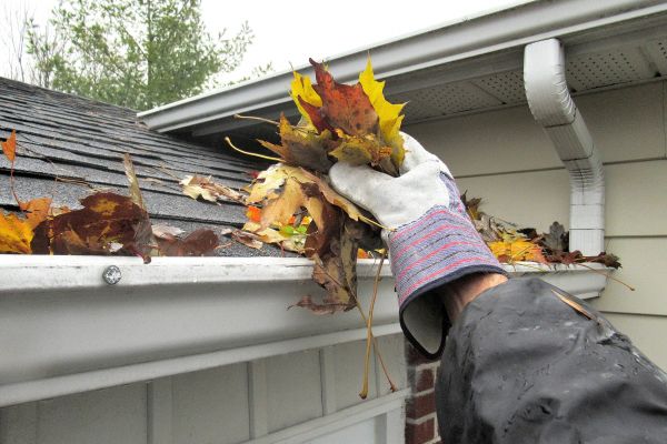 Eaves Cleaning in Mount Juliet