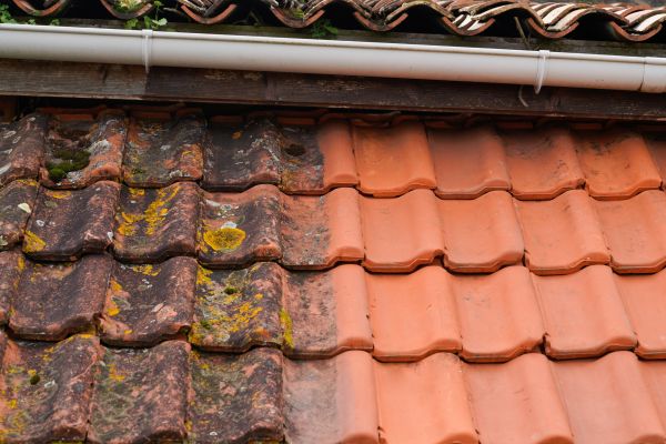 Industrial Roof Cleaning in Mount Juliet