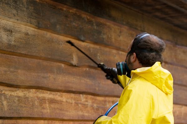 Cedar Siding Washing in Mount Juliet