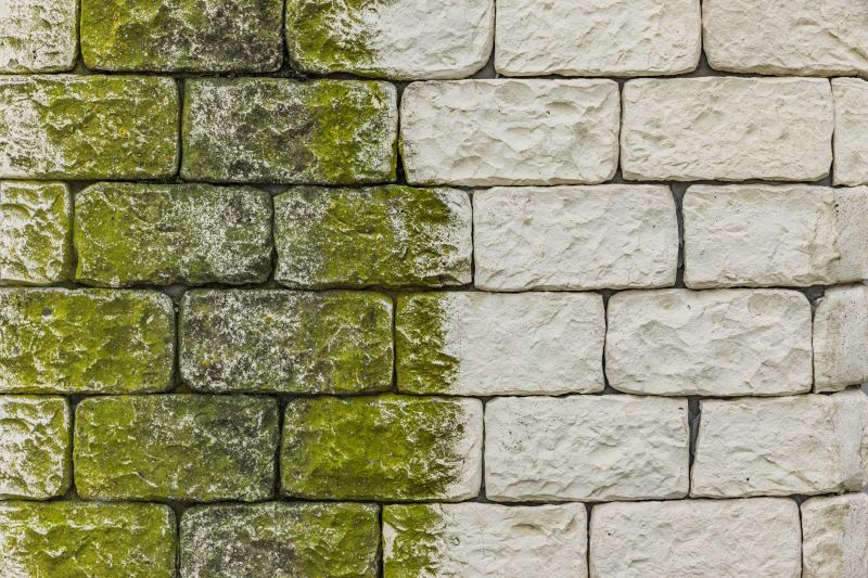 Moss and Algae Removal